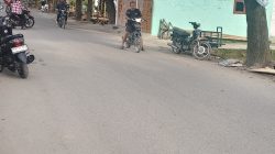 Pembongkaran Lapak Pedagang Datuk Kabu Tembung Gagal?, Ruko Tidak Disentuh